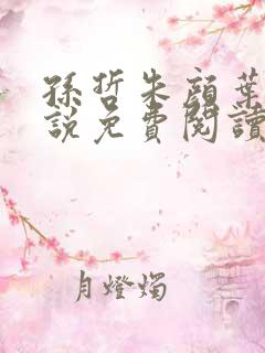 孙哲朱颜叶巧小说免费阅读笔趣阁