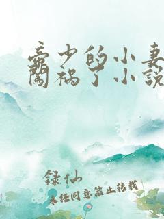 帝少的小妻子又闯祸了小说免费阅读