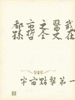 都市之医武风流孙哲全文在线阅读