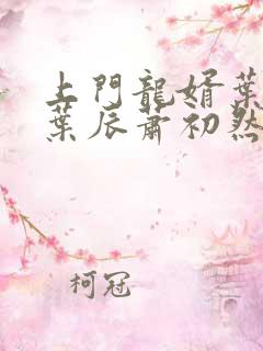 上门龙婿叶辰 叶辰萧初然结局