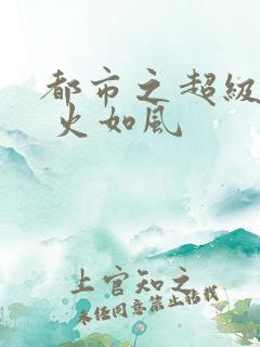 都市之超级医仙 火如风