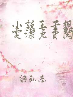 小说王子枫和袁雯洁免费阅读