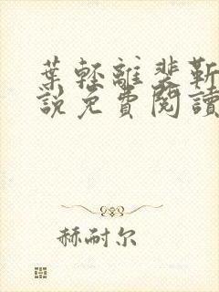 叶轻离裴靳墨小说免费阅读无弹窗