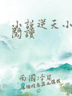 小说逆天小医仙阅读