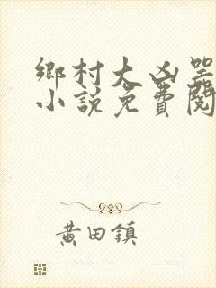 乡村大凶器在线小说免费阅读