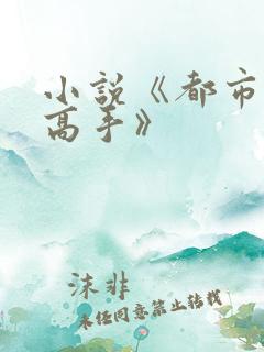 小说《都市绝品高手》