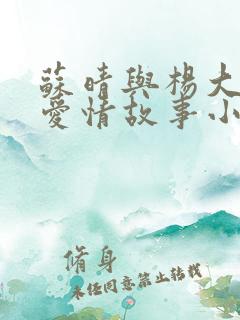 苏晴与杨大明的爱情故事小说