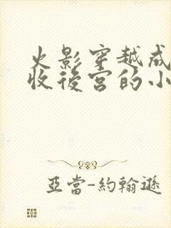 火影穿越成鸣人收后宫的小说