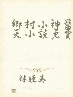 乡村小神医林小天小说免费阅读