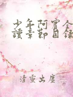 少年阿宾全文阅读章节目录