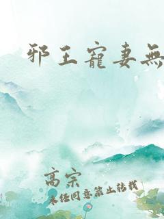 邪王宠妻无度