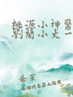 桃源小神医许凡刘兰小火一把