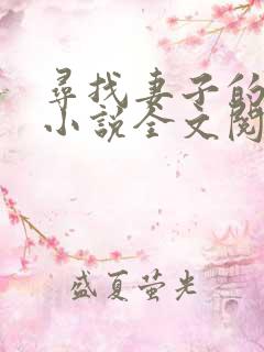 寻找妻子的秘密小说全文阅读