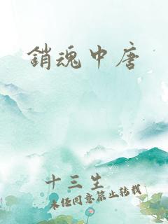 销魂中唐