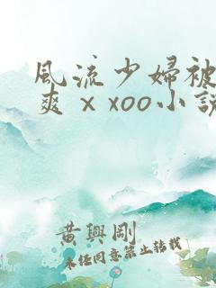 风流少妇被粗大爽ⅹxoo小说