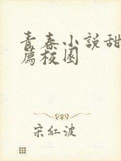 青春小说甜文推荐校园