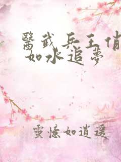 医武兵王俏总裁 如水追梦