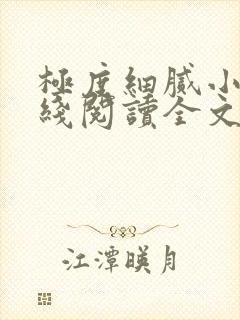 极度细腻小说在线阅读全文