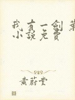 我有一剑 叶观小说免费
