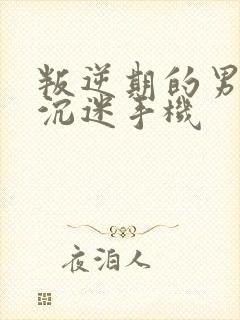 叛逆期的男孩子沉迷手机
