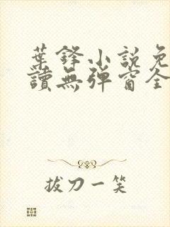 叶锋小说免费阅读无弹窗全文