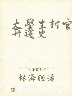 大学生村官艳遇升迁史