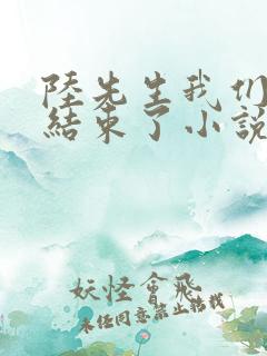 陆先生我们终于结束了小说免费阅读