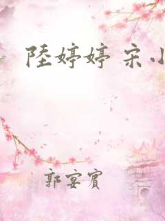 陆婷婷 宋小易