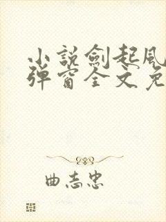 小说剑起风云无弹窗全文免费阅读