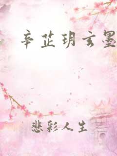 辛芷玥玄墨小说