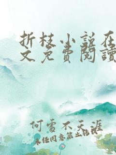 折枝小说在线全文免费阅读无弹窗