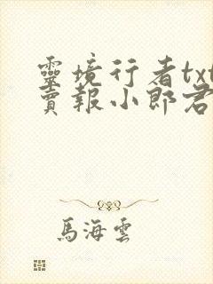 灵境行者txt卖报小郎君