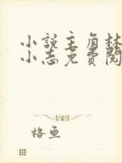 小说主角林姨,小志免费阅读