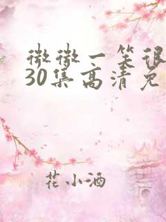 微微一笑很倾城30集高清免费观看