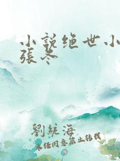 小说绝世小医仙张冬