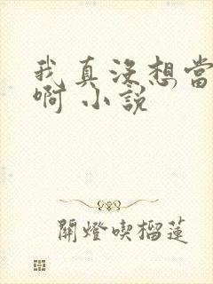 我真没想当皇帝啊 小说