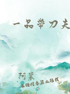 一品带刀夫人