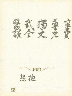 医武独尊宁天小说全文免费阅读