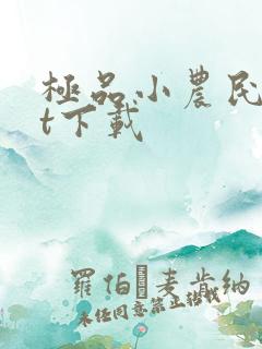 极品小农民txt下载
