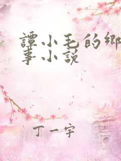 谭小毛的乡村艳事小说