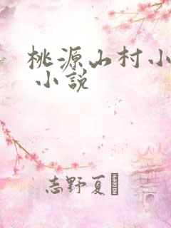 桃源山村小神医 小说