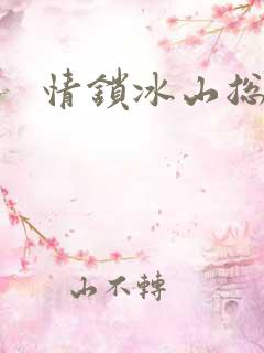 情锁冰山总裁