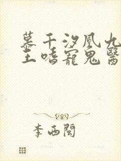 慕千汐凰九夜邪王嗜宠鬼医狂妃免费阅读