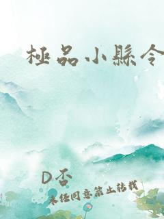 极品小县令