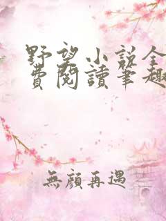野望小说全文免费阅读笔趣阁
