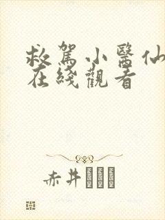 救驾小医仙全集在线观看
