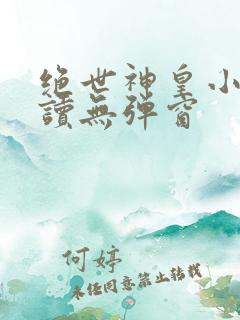 绝世神皇小说阅读无弹窗