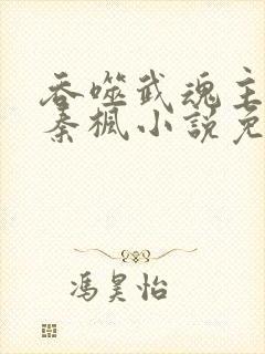 吞噬武魂主角叫秦枫小说免费阅读
