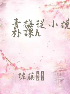 青梅从小摸到大补课h