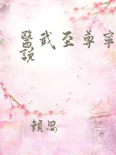 医武至尊宁天小说
